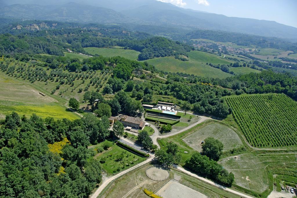Agriturismo Le Buche Di Viesca Reggello Dış mekan fotoğraf